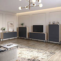 Комплект меблів для вітальні LION Амарант 4 елементи з чорними металевими ніжками Дуб сонома/Графітовий (LION-042277)