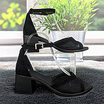 Босоніжки жіночі Amir чорні замшеві на підборі середньої висоти 4909-2, фото 2