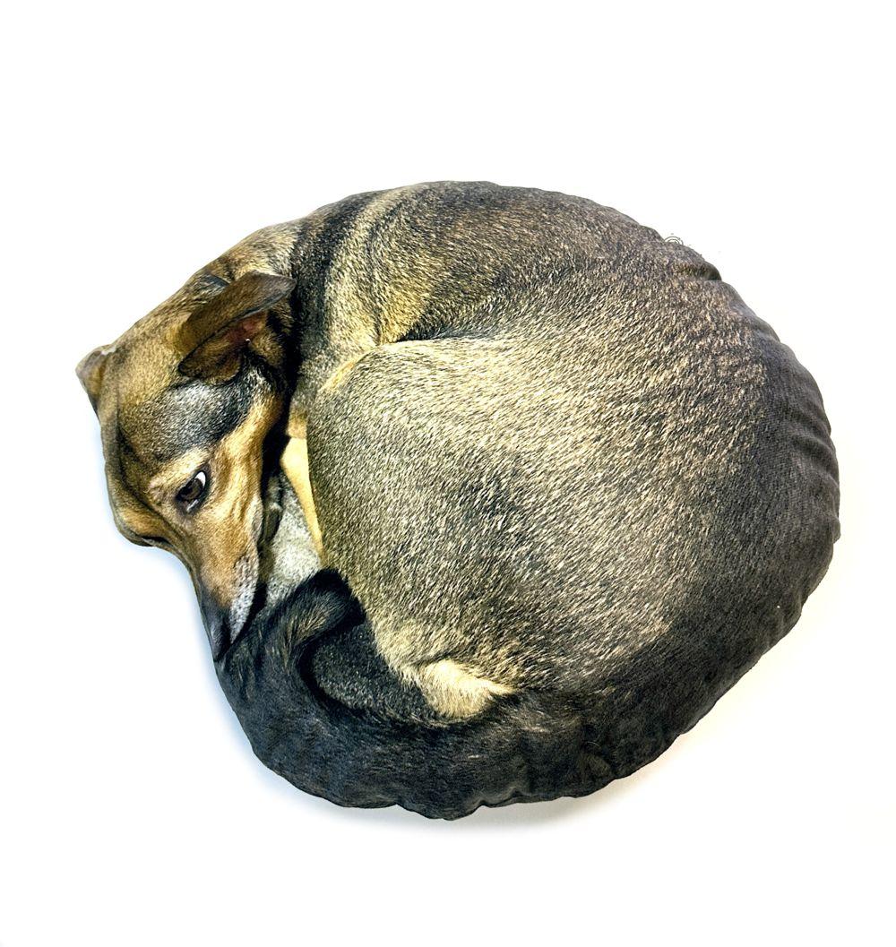 Собака Маня, іграшка-подушка м'яконабивна, 45 см, фото 1