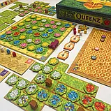 Настільна абстрактна гра Queenz: Бджола чи не бджола, 7+ (Queenz: To Bee or Not to Bee Mandoo Games), фото 3