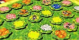 Настільна абстрактна гра Queenz: Бджола чи не бджола, 7+ (Queenz: To Bee or Not to Bee Mandoo Games), фото 8