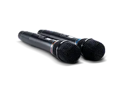 Studio Evolution цифрові мікрофони SE 200D