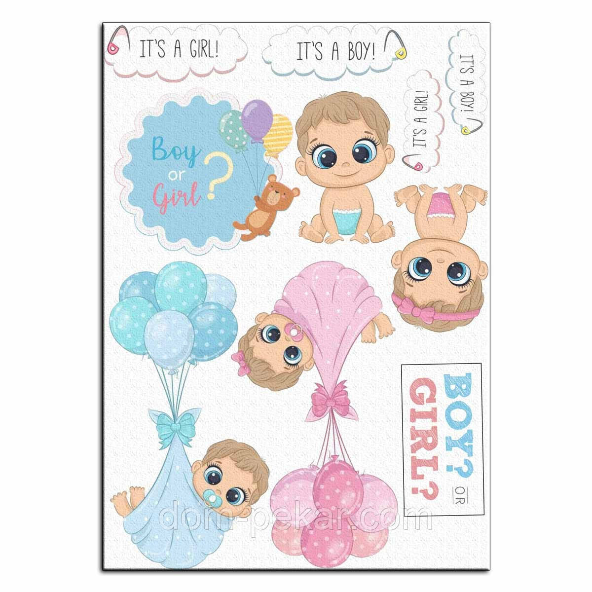 Boy or Girl гендер паті 1 вафельна картинка