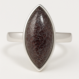 Кістка каблучки