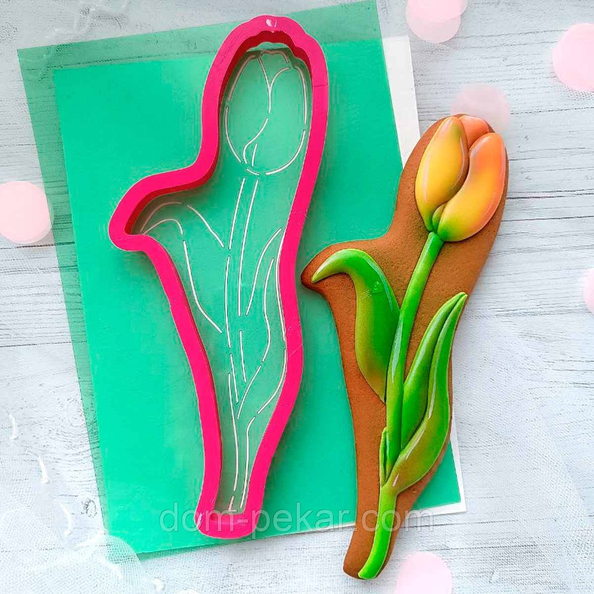 Тюльпан 5 вирубка з трафаретом 18*8 см (TR-2)