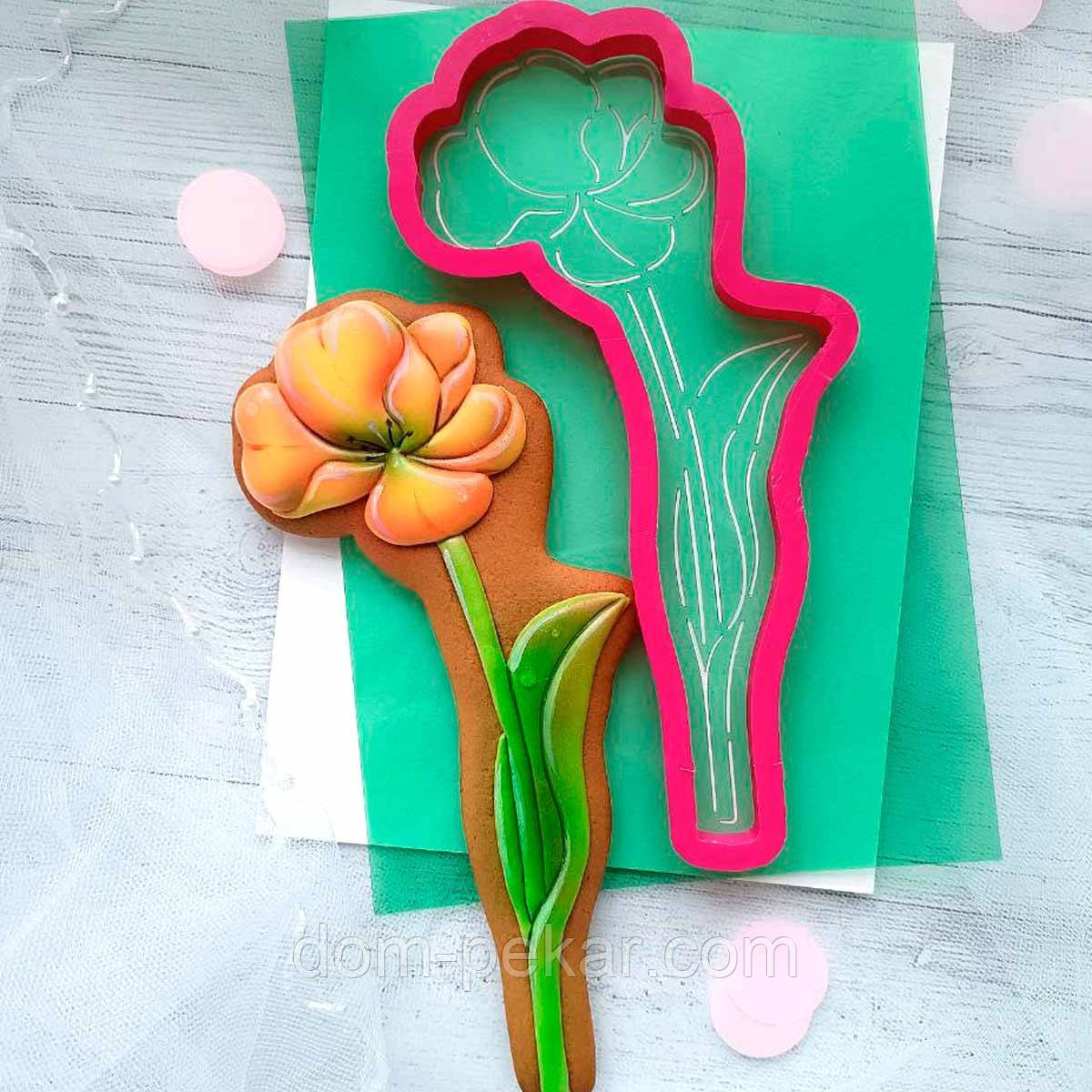 Тюльпан 7 вирубка з трафаретом 18*8,6 см (TR-2)