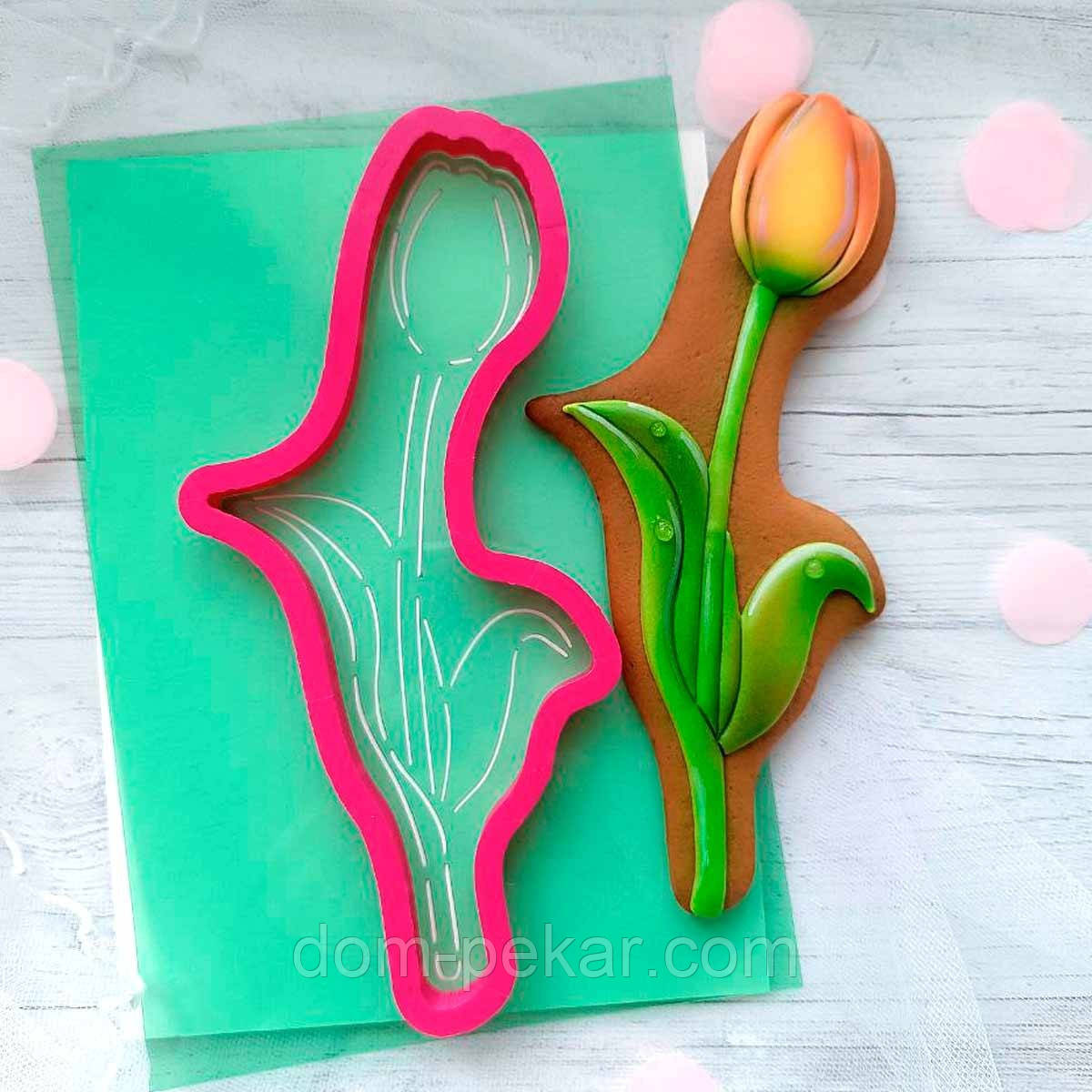 Тюльпан 9 вирубка з трафаретом 18*7,7 см (TR-2)