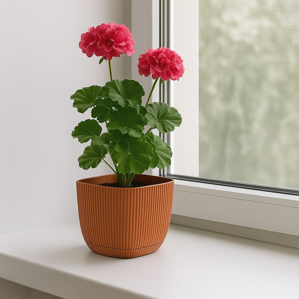 Квітковий горщик квадратний 4 л з піддоном персиковий CORAL KRS-384 Karasu