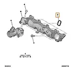 Прокладка впускного колектора Fiat Ducato 250, Peugeot Boxer 3, Citroen Jumper 3 (2006-2014) 2.2, 0348T1, фото 3
