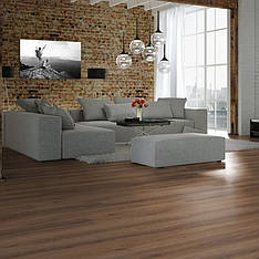 Ламінат KRONOPOL Easy Step Дуб Діоген 5385 32 / 8 мм