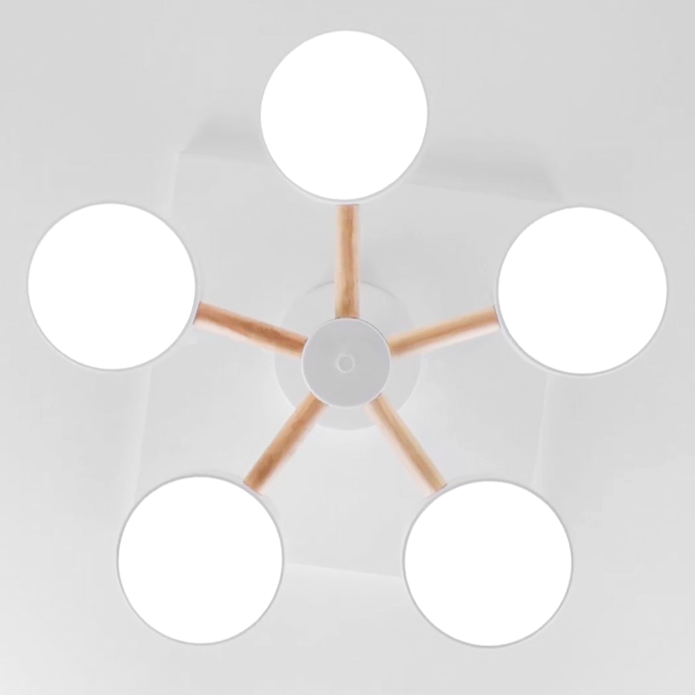 al6195_ard_scandy_65vt_05.png