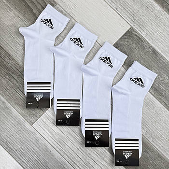 Шкарпетки чоловічі бавовна сітка середні Adidas Performance, Туреччина, розмір 41-45, білі, 12660