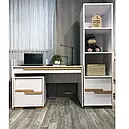 Шафа-пенал в дитячу з ДСП і дерева Сіетл 450 Верес, фото 3