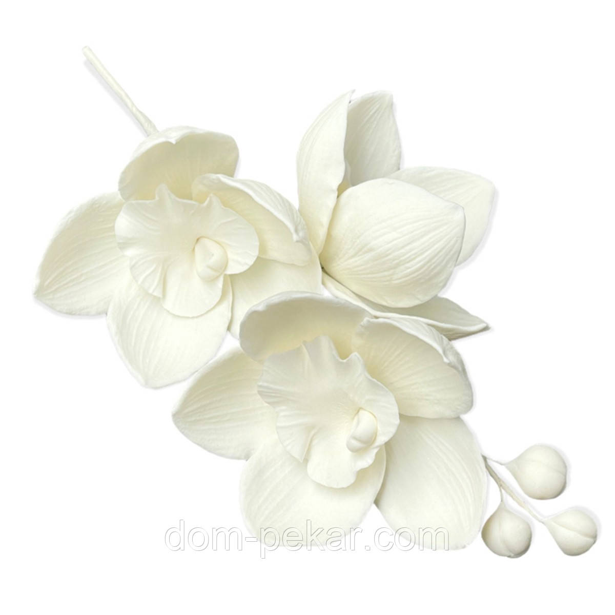 СЛАДО кондитерський декор Гілочка Орхідеї моно біла