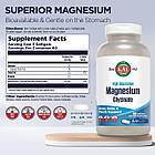 KAL Magnesium Glycinate 315 mg 180 таблеток, фото 3