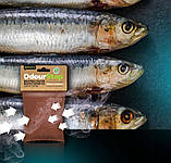 Набір з 5 шт. Ефективний поглинювач запахів Odourstop 500g товар, фото 4