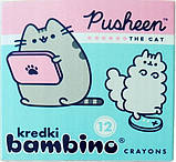 Набір з 2 шт. Набір для творчості Bambino з котом Pusheen подарунок на день народження, фото 6