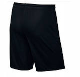 Набір з 2 шт. Nike короткі шорти Park Dry Fit M, фото 6