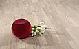 Паркетна дошка Focus Floor Дуб Ostro White 3-смуговий , білий матовий лак, фото 4
