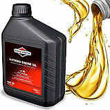 Набір з 2 шт. Масло для газонокосарки Briggs & Stratton Sae30 1,4 л, фото 5