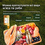 ECO6W нітрат-тестер для риби, фруктів, овочів, м'яса. Greennovo Eco ECO6W, фото 4