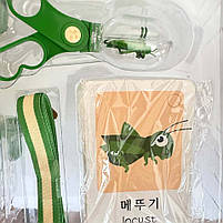 Набір дослідника фігурка скорпіона компас бінокль бокс кільця ремінець щипці картки в кор 36*10*27см (JL X 6622-4), фото 6