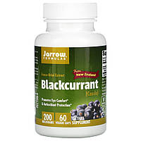 Чорна смородина для очей Jarrow Formulas 60 капсул