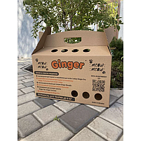 Картонна переноска для котів та собак до 8 кг Ginger 45х21х27 см, фото 3