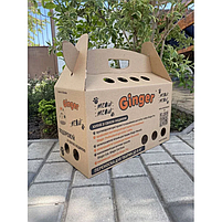Картонна переноска для котів та собак до 8 кг Ginger 45х21х27 см, фото 4