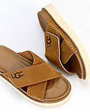 Шльопанці UGG колір кориця новинка сезону, фото 3