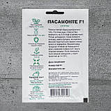 Огірок Пасамонте F1 50 шт насіння пакетоване Спектр Сад, фото 2