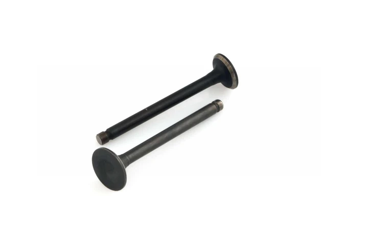 Клапани (пара, голі) 4T Китанець 50 см3 (L-64.5mm)
