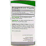 Екстракт, Готу кола Nature's Answer, 300 мг, 60 вегетаріанських капсул, фото 2