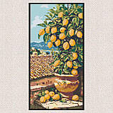 Алмазна мозаїка/вишивка Цитрусове дерево 40*80 см Орігамі OD 5116, фото 6