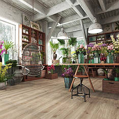 Ламінат KRONOPOL Terra Дуб Венеція | 6201 33 / 8 мм