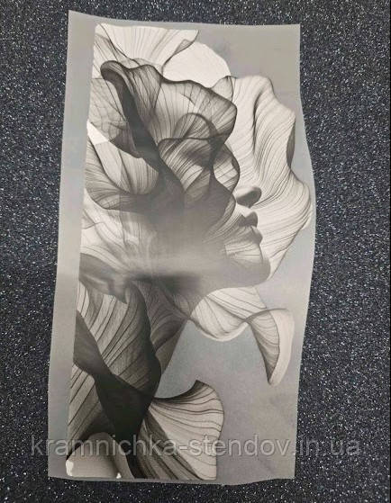 Термоналіпка на одяг, фото 1