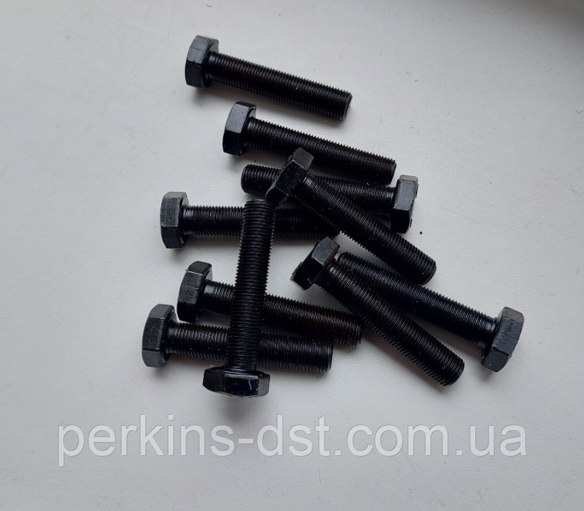 Болт крепления маховика для двигателя Deutz BF4M 2012, BF6M2012, фото 1