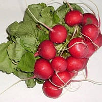 Рубін, (250 г) насіння редису Satimex