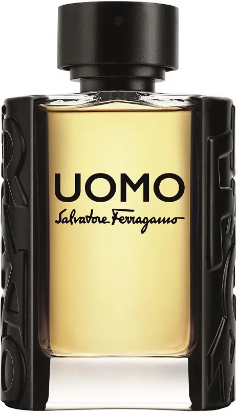 Туалетна вода чоловіча Salvatore Ferragamo Uomo 100 мл