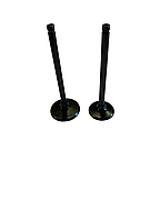 Клапана Honda SH 150 (довжина - 80mm, d - 29/24mm)