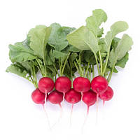 Мондіал F1 (25 000 нас. калібр 2,75-3,0) насіння редиски Rijk Zwaan