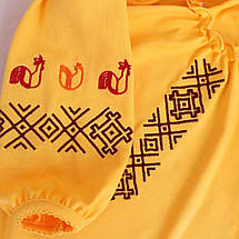 ΠΠΎΠ²ΡΠ° ΡΡΠΈΠΊΠΎΡΠ°ΠΆΠ½Π° Π²ΠΈΡΠΈΠ²Π°Π½ΠΊΠ° Π΄Π»Ρ Π΄ΡΠ²ΡΠΈΠ½ΠΊΠΈ Π· Π΄ΠΎΠ²Π³ΠΈΠΌ ΡΡΠΊΠ°Π²ΠΎΠΌ ΡΠ΅ΡΠ²ΠΎΠ½ΠΎ ΠΎΡΠ½Π°ΠΌΠ΅Π½Ρ 92 98 104 110 116 122 128 134, ΡΠΎΡΠΎ 5