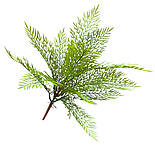 Штучний кущ папороті 46 см, фото 3