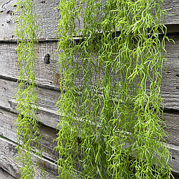 Штучний кущ ампельний павутинник 120 см ( 6 шт в уп)