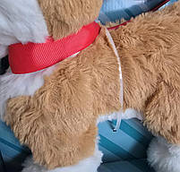 Собачка коргі на повідку, кращий друг, інтерактивнна собачка, рижий, білий, гавкає, ходить, виляє хвостом, 22 см (PL82010), фото 4