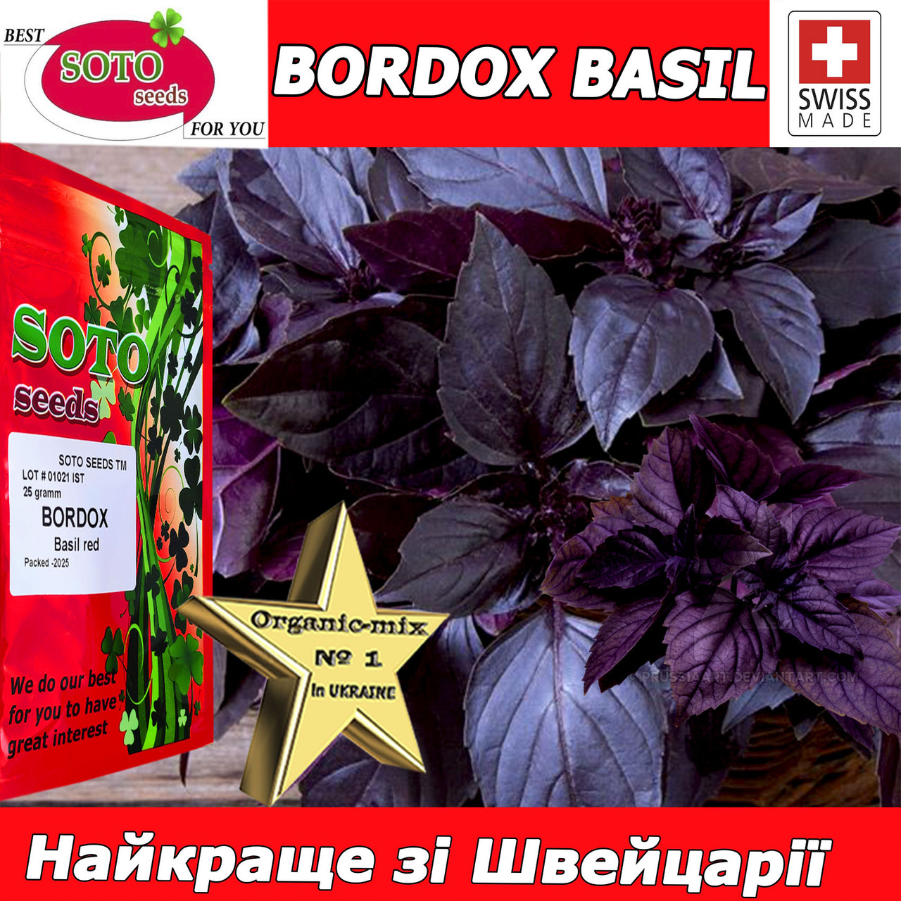 Базилік фіолетовий БОРДОКС / BORDOX, ТМ Soto Seeds (Швейцарія), 25 грамів