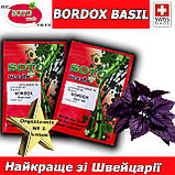 Базилік фіолетовий БОРДОКС / BORDOX, ТМ Soto Seeds (Швейцарія), 25 грамів, фото 3