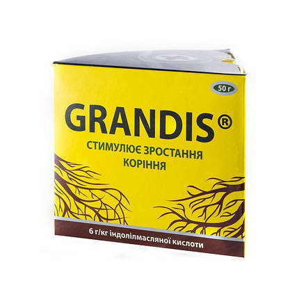 Укорочувач Грандіс (Grandis) 50 г, фото 1