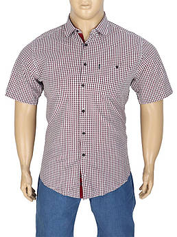 Сорочка чоловіча в клітинку Negredo 44 BKI 557