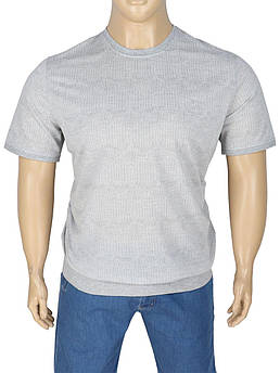 Чоловіча сіра футболка Caporicco 20082 SB Gri Melanj